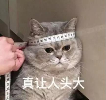油耗增加？可别忽视这几点！_1