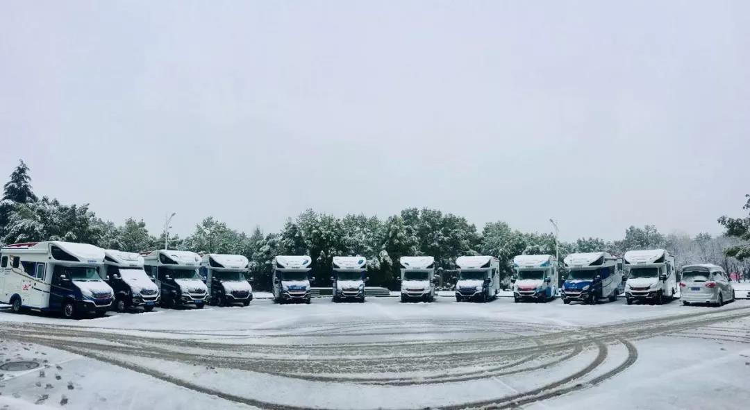 忽见南京雪，才知是金陵，南京2020年第一场雪来了！_1