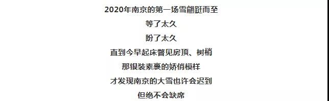忽见南京雪，才知是金陵，南京2020年第一场雪来了！_2