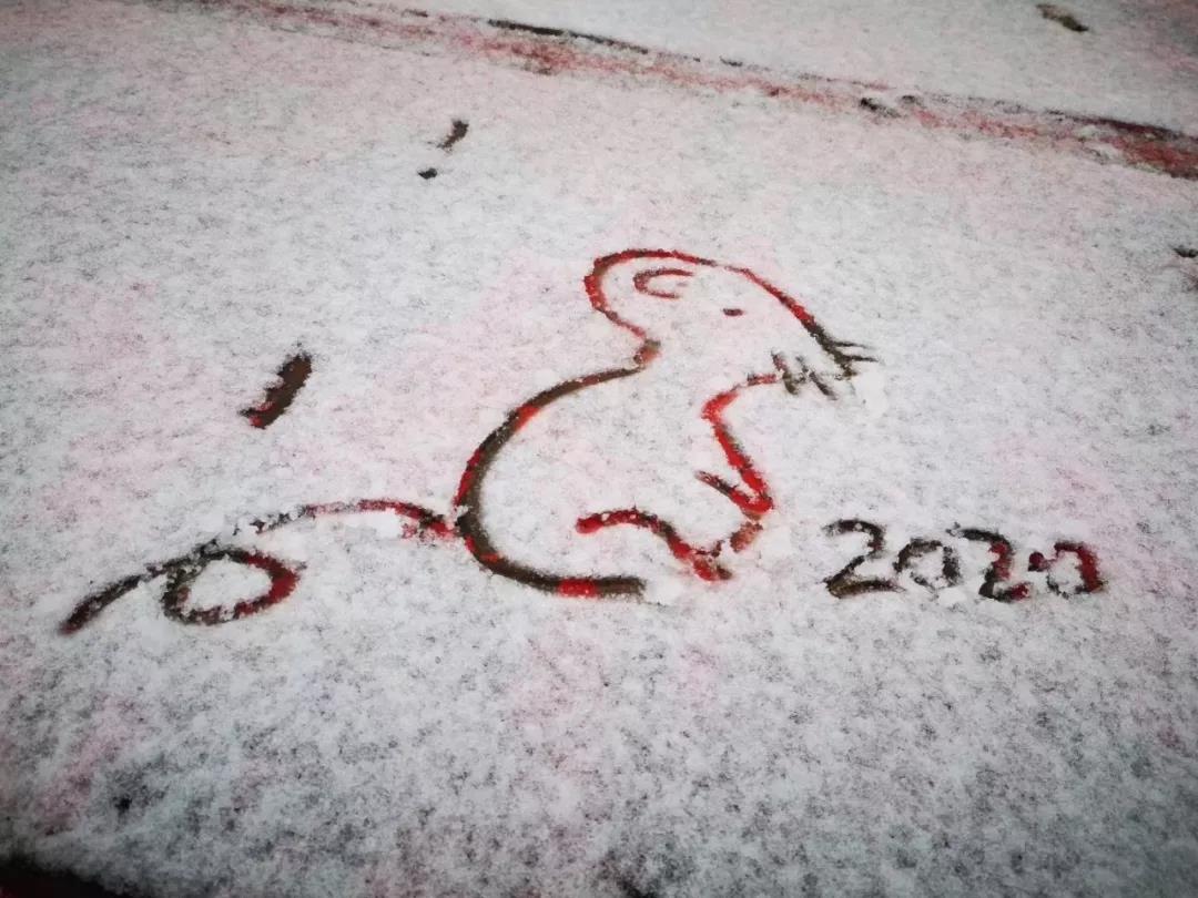 忽见南京雪，才知是金陵，南京2020年第一场雪来了！_3