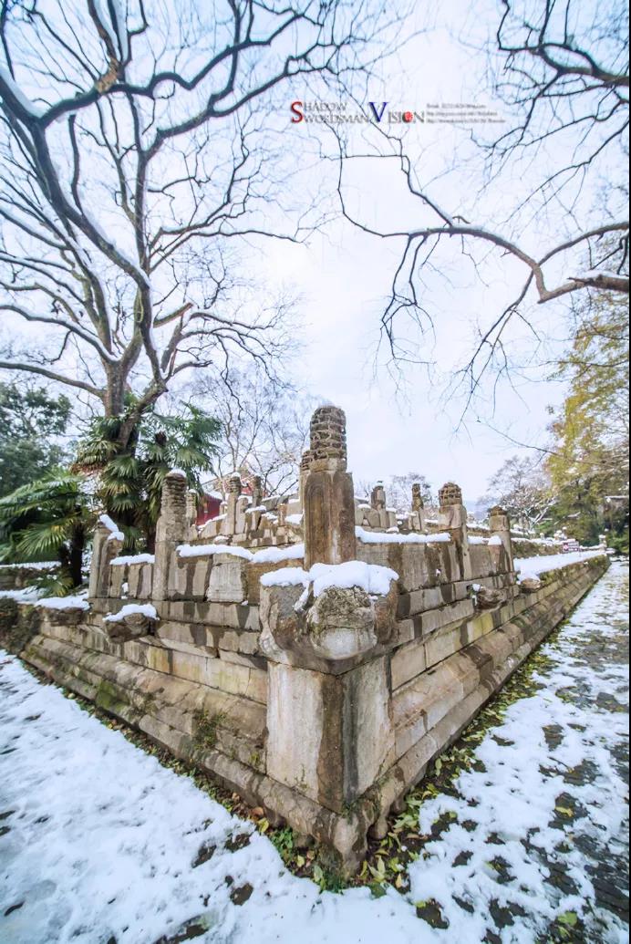 忽见南京雪，才知是金陵，南京2020年第一场雪来了！_11